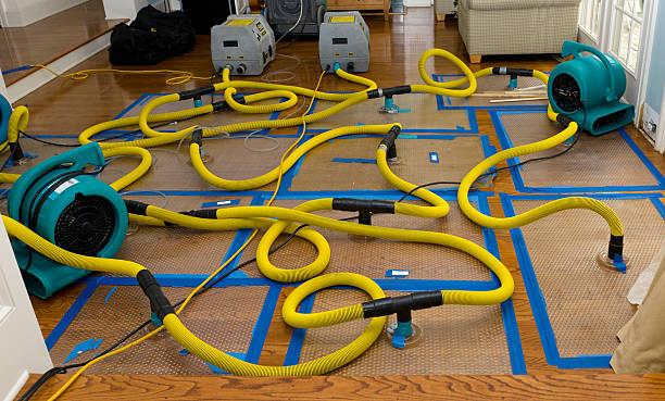 Professional Storm Water Damage Restoration technician working in Niverville, NY